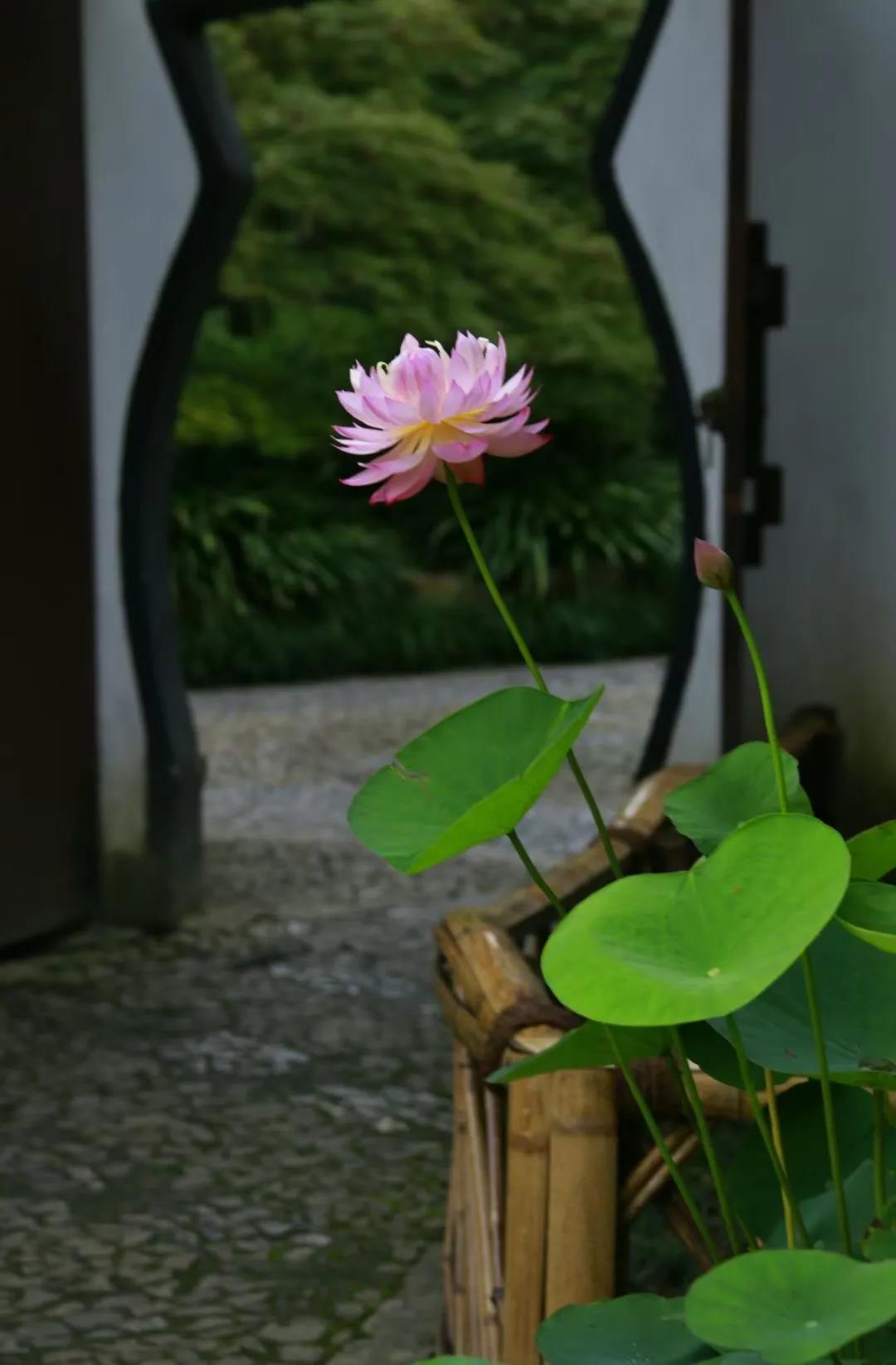 微信图片_20210707130205.jpg 微信图片_20210707130205.jpg