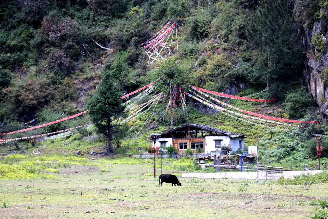 微信图片_20220831153351.jpg 微信图片_20220831153351.jpg