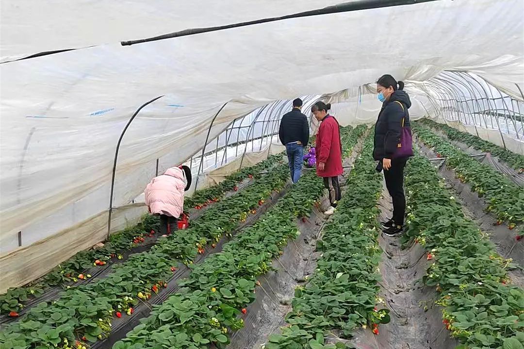 微信图片_20230123194845.jpg 微信图片_20230123194845.jpg