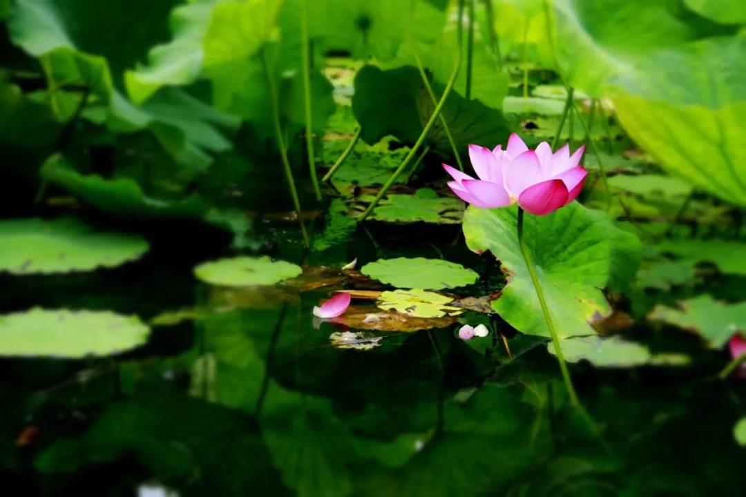 微信图片_20210707130131.jpg 微信图片_20210707130131.jpg