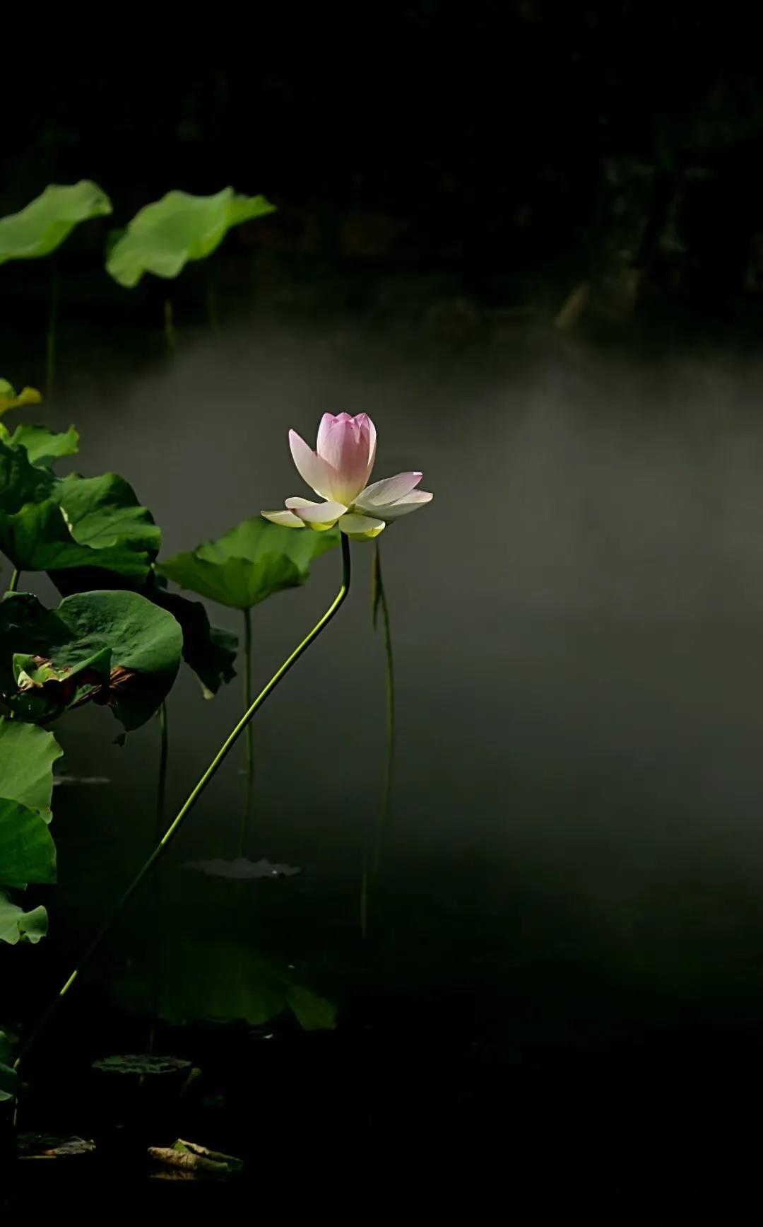 微信图片_20210707130156.jpg 微信图片_20210707130156.jpg