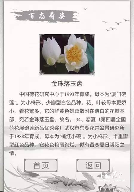 63f1a7549ff341dbadd52d6fa2d24266.jpg