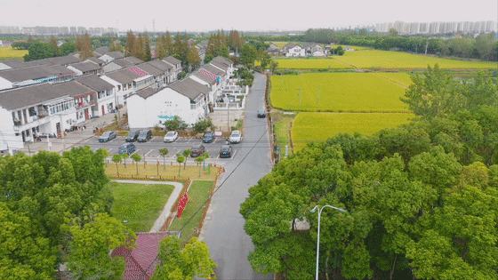 微信图片_20221115115009.gif 微信图片_20221115115009.gif