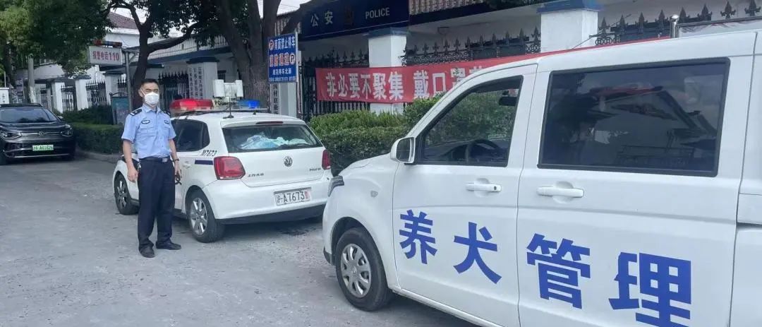 正文图片 正文图片