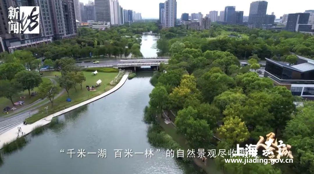 64f324e2ace14084bbea2d1ff263e396.jpg