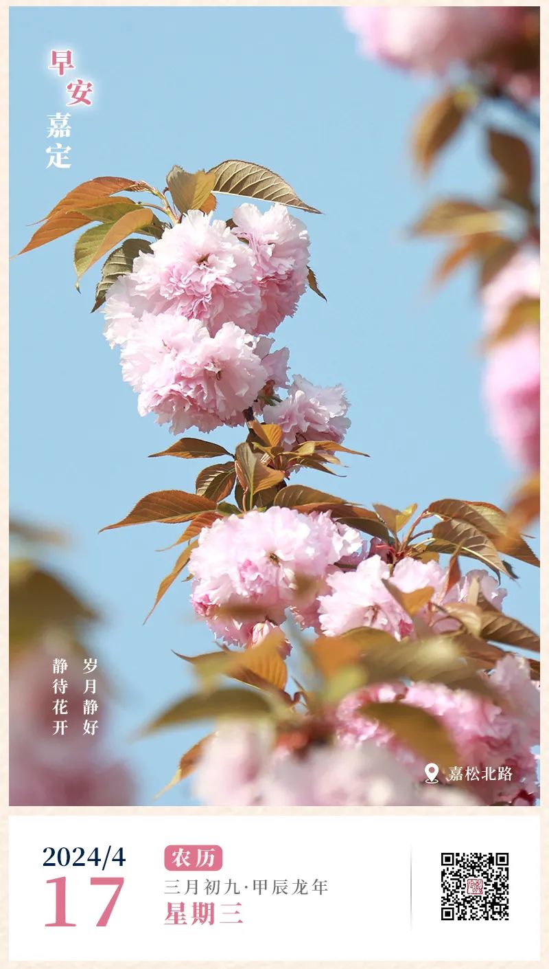 正文图片