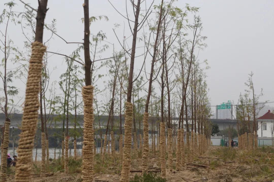 微信图片_20201207201031.jpg 微信图片_20201207201031.jpg