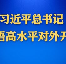 学习进行时丨习近平总书记妙语高水平对外开放