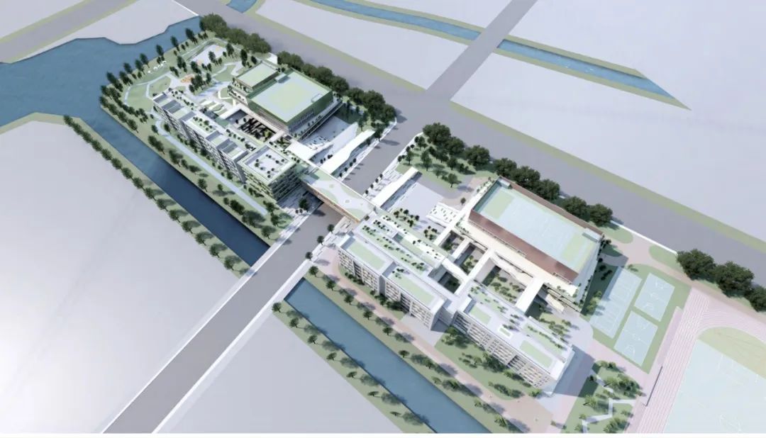 正文图片 正文图片