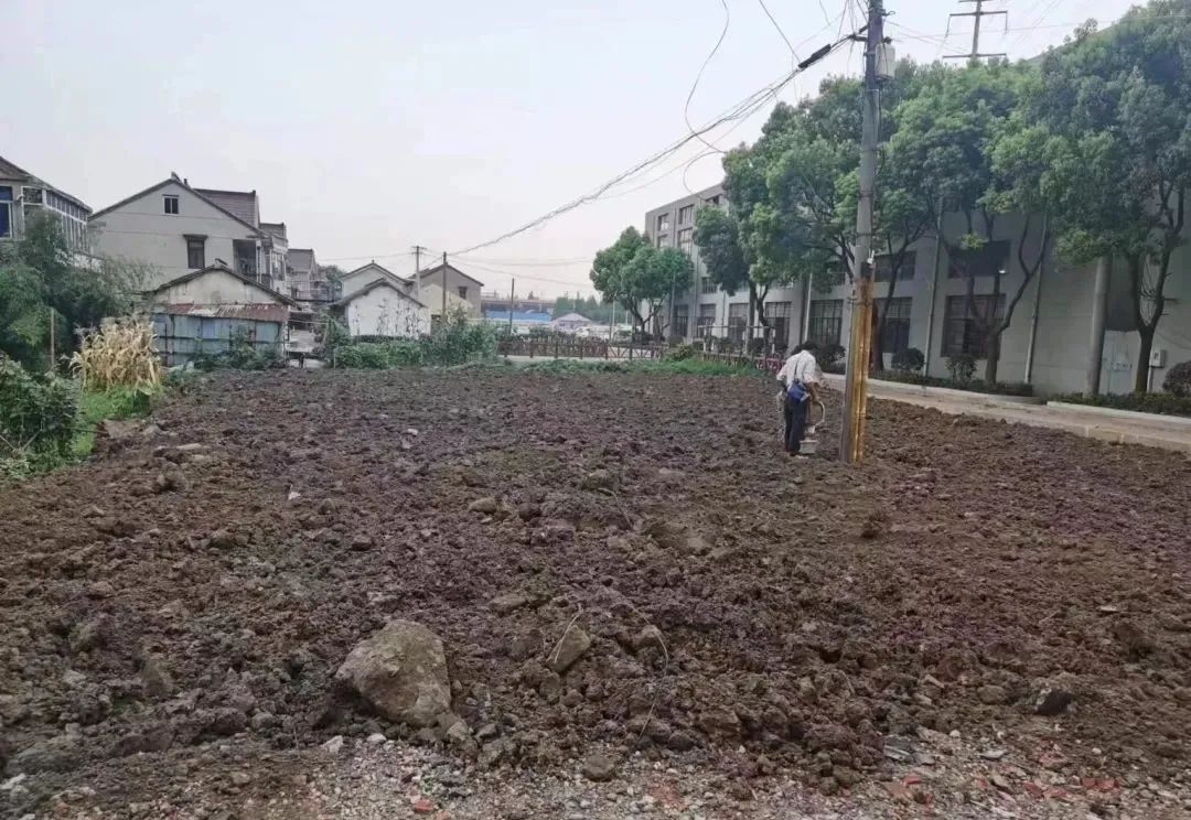 正文图片 正文图片