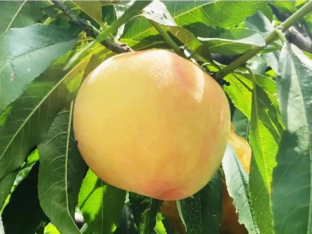 微信图片_20220708164520.jpg 微信图片_20220708164520.jpg