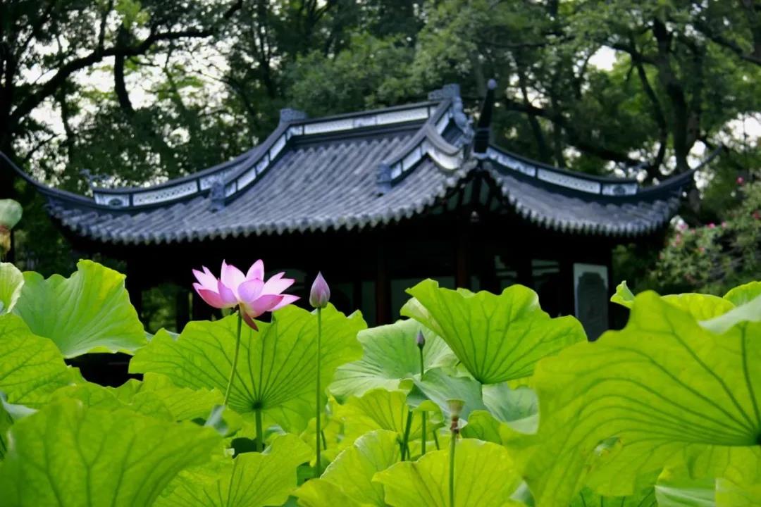 微信图片_20210707130138.jpg 微信图片_20210707130138.jpg