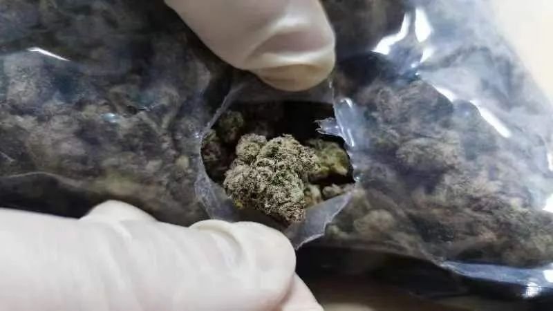 正文图片