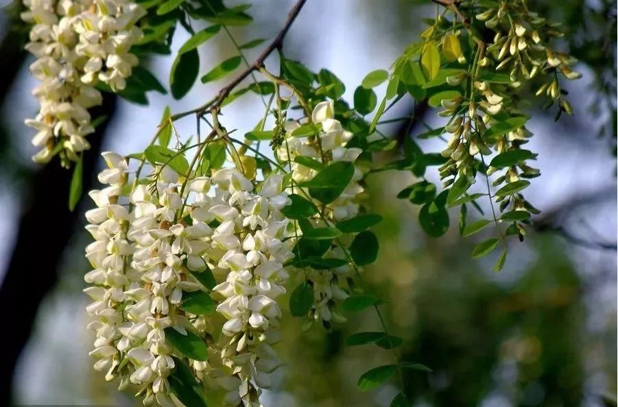 640-2.jpeg 640-2.jpeg