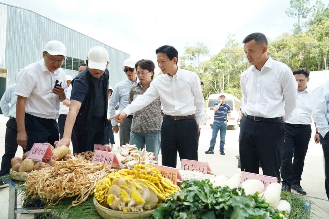 正文图片 正文图片