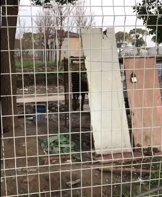 正文图片