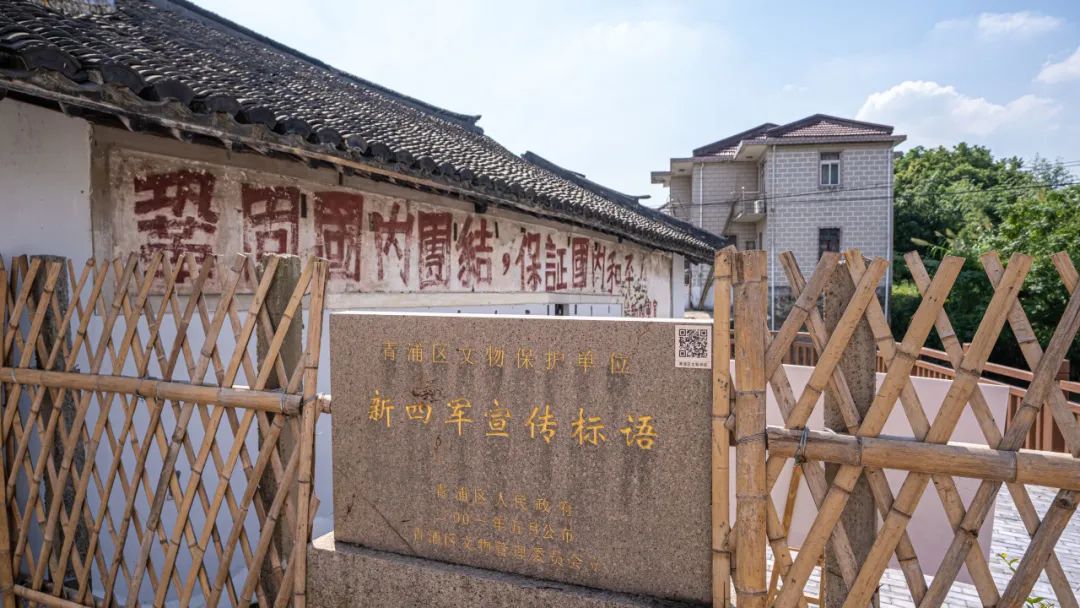 正文图片