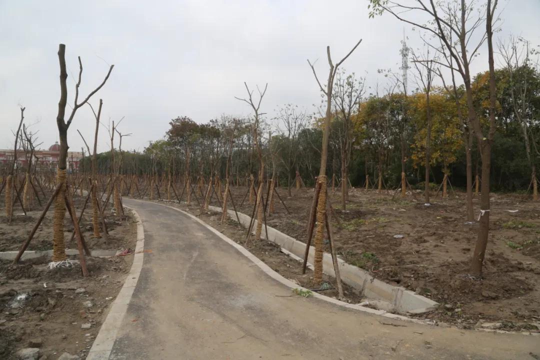 微信图片_20201207201050.jpg 微信图片_20201207201050.jpg