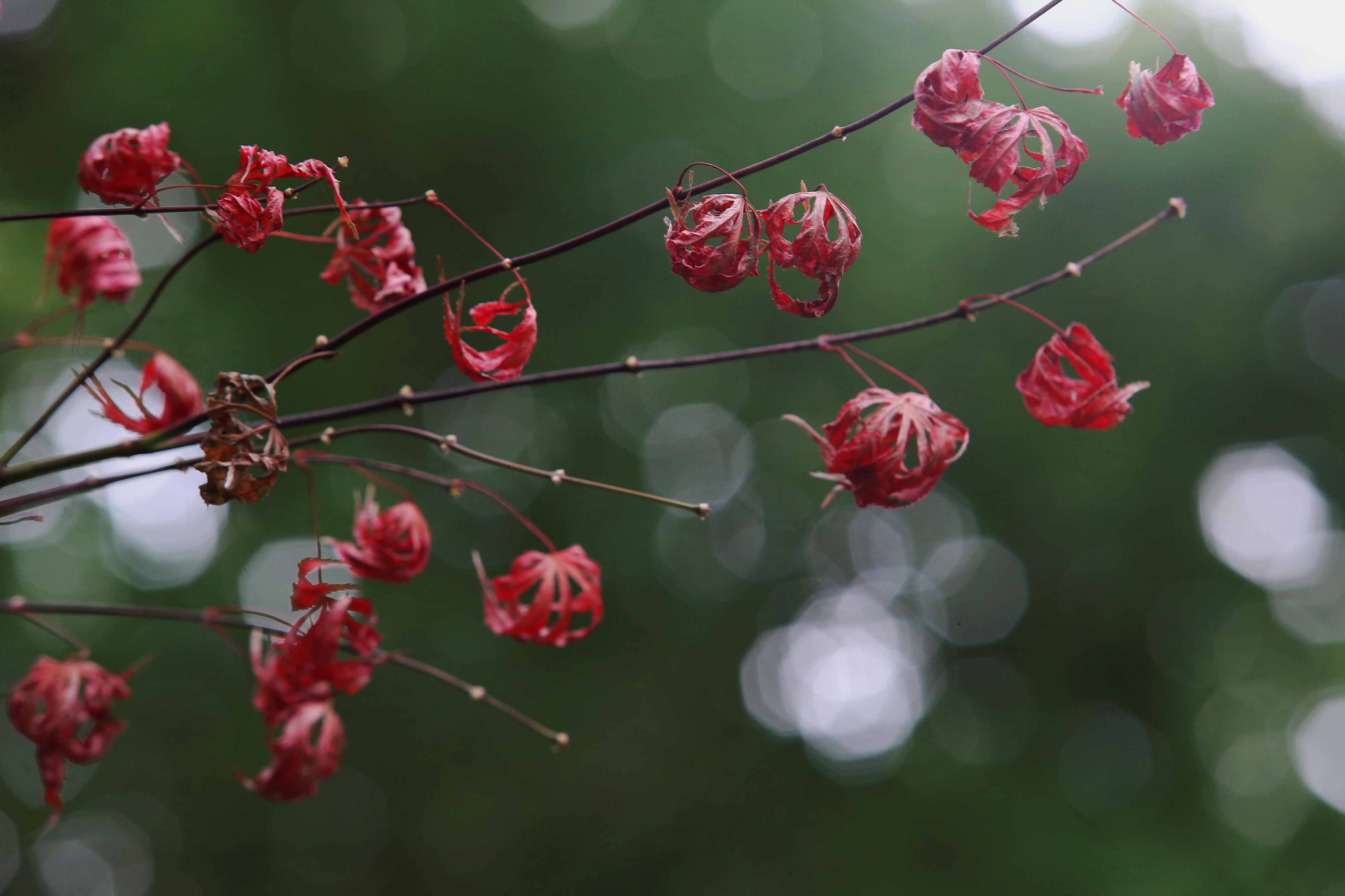 跌破五度,接近零度-12944.jpg 跌破五度,接近零度-12944.jpg