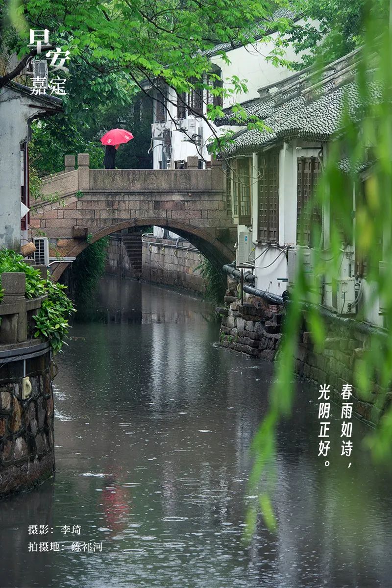 正文图片