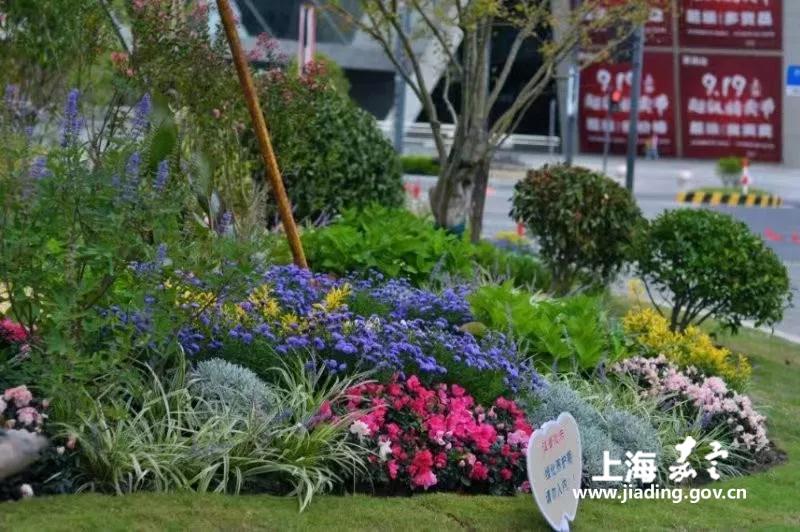 70187aed940d4c18a30924477e0f1a69.jpg 70187aed940d4c18a30924477e0f1a69.jpg