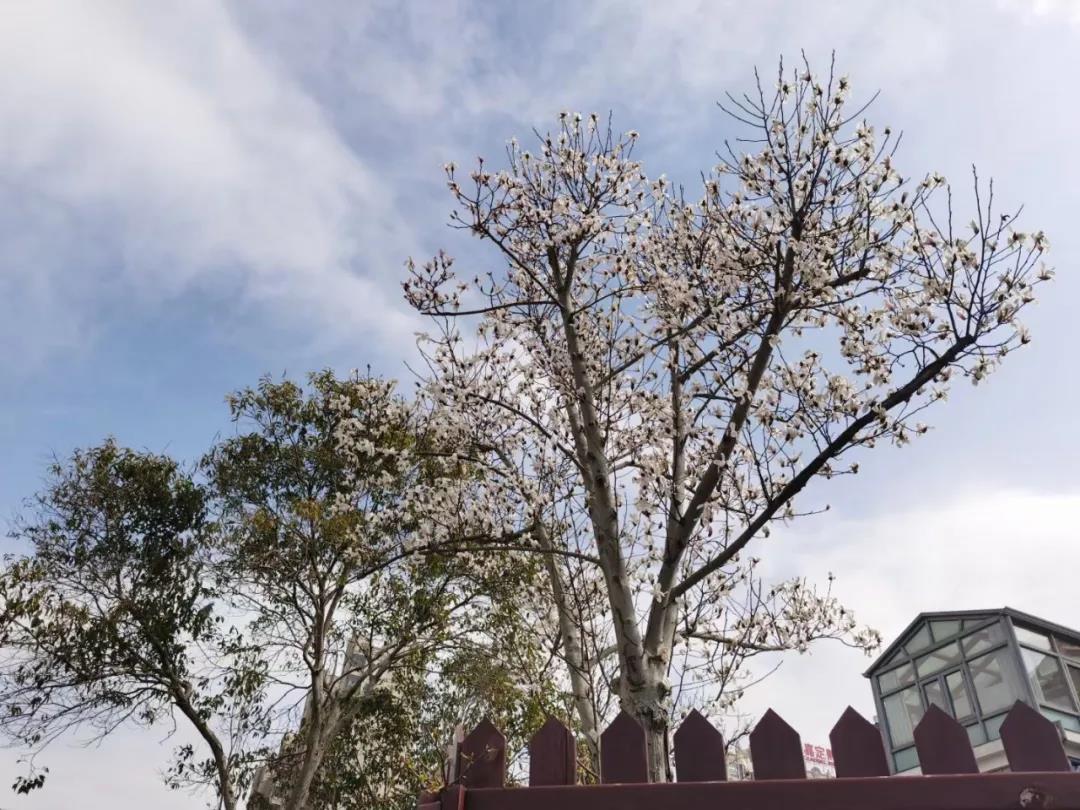 微信图片_20210217193638.jpg