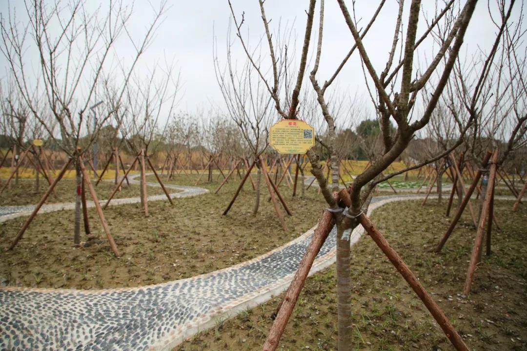 微信图片_20210313153332.jpg