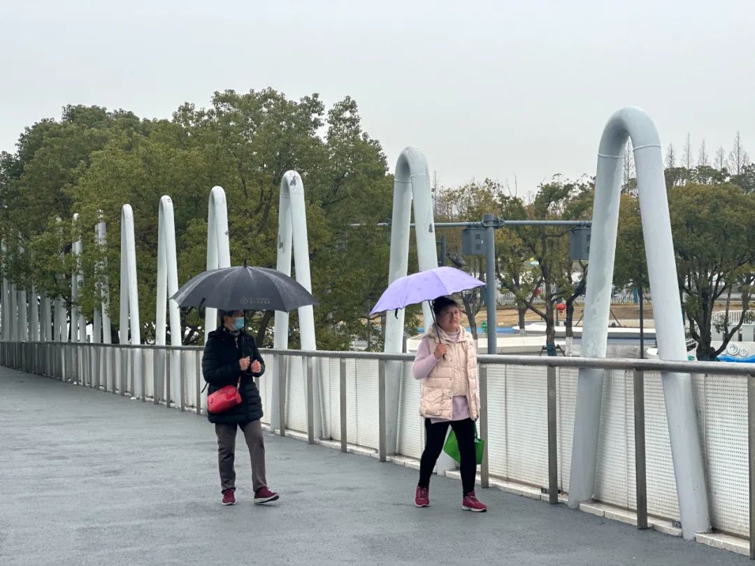 正文图片
