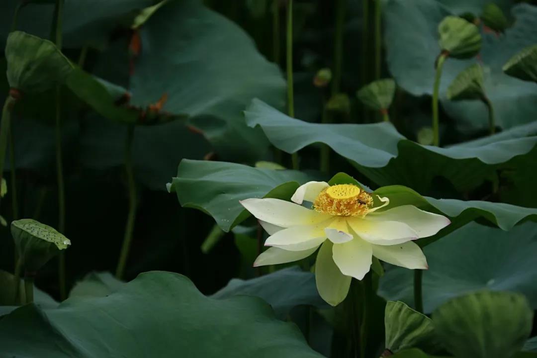 微信图片_20210707130141.jpg 微信图片_20210707130141.jpg