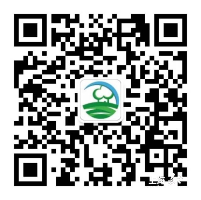 25a282d907be4051856c3d339e7f10bf.jpg