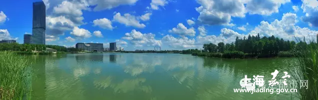 7a412d9789494afdb5d28ced7cfbefb2.png