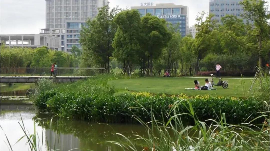 微信图片_20201026130515.jpg