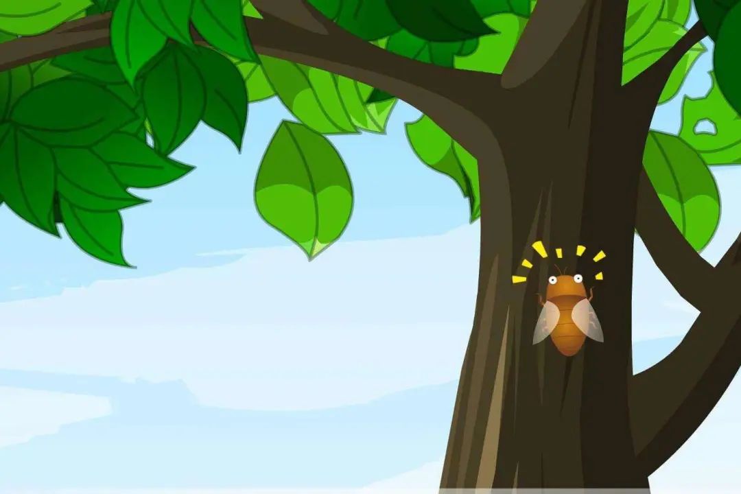 正文图片 正文图片