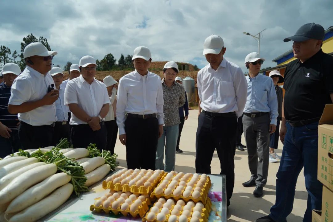 正文图片 正文图片