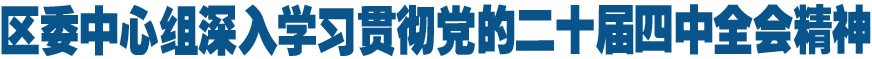 区委中心组深入学习贯彻党的二十届四中全会精神