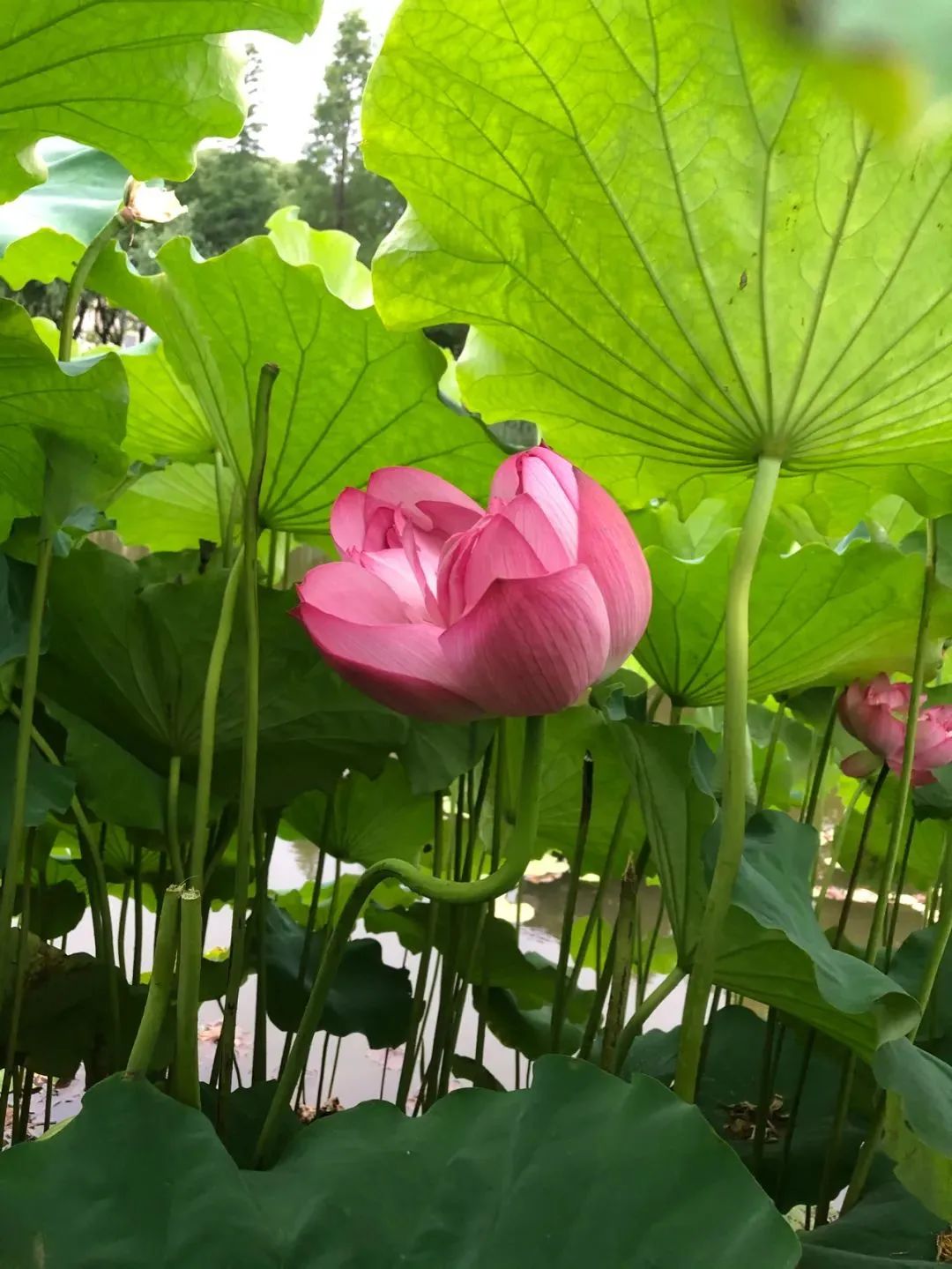 微信图片_20220606204209.jpg
