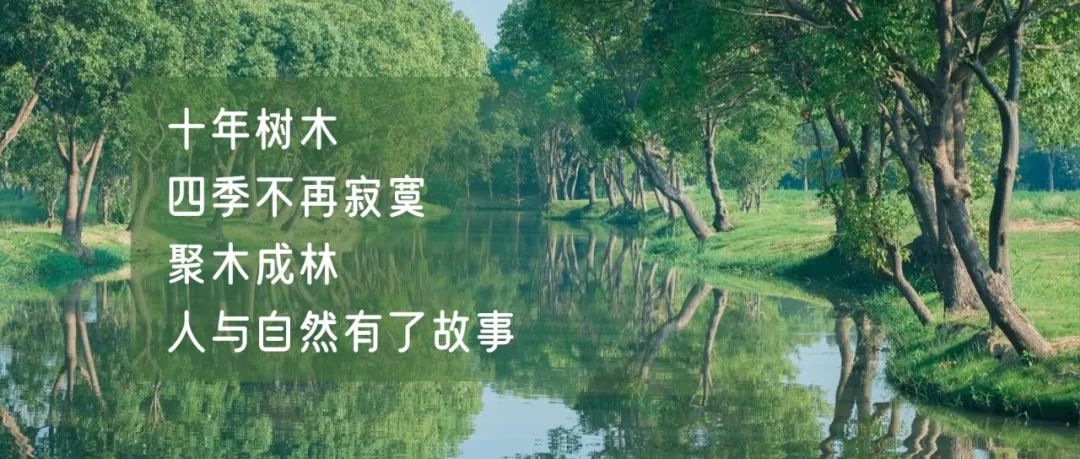 正文图片