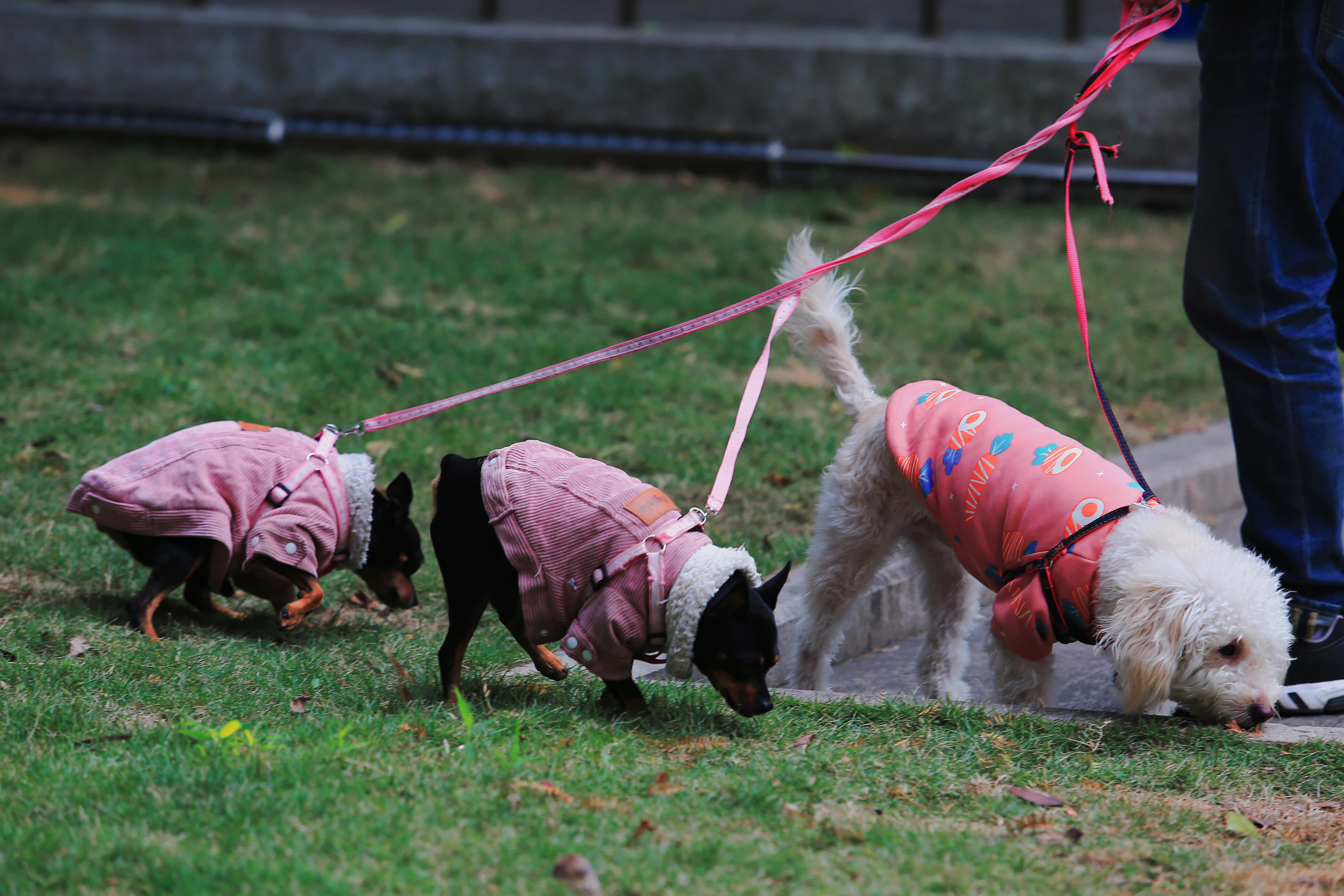 跌破五度,接近零度-12942.jpg 跌破五度,接近零度-12942.jpg