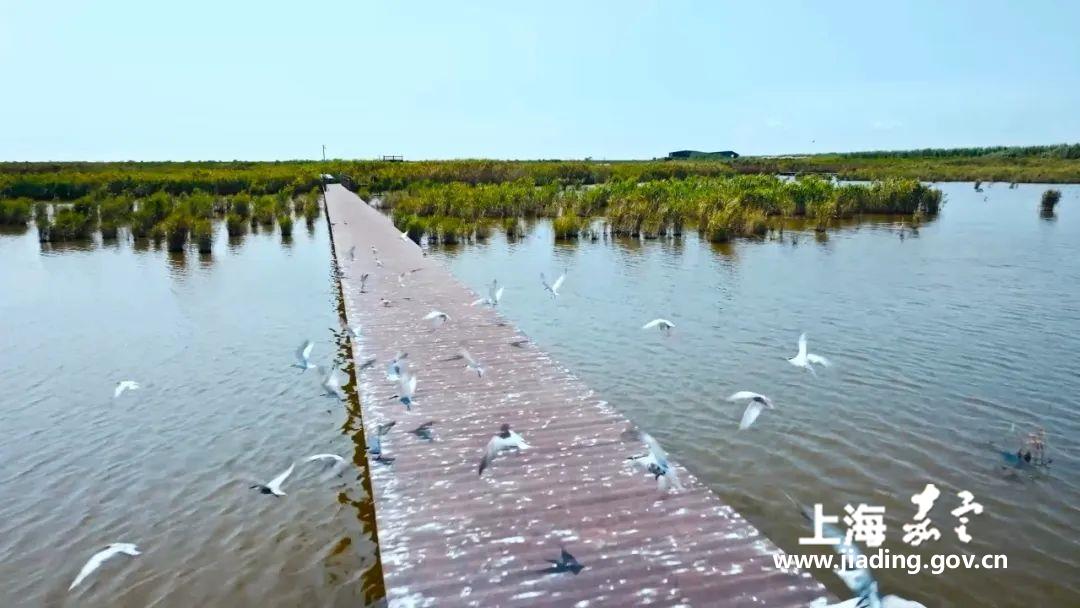 7ec068d233fa499b99c7743fd18fcf2f.jpg 7ec068d233fa499b99c7743fd18fcf2f.jpg