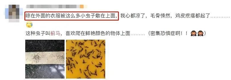 正文图片