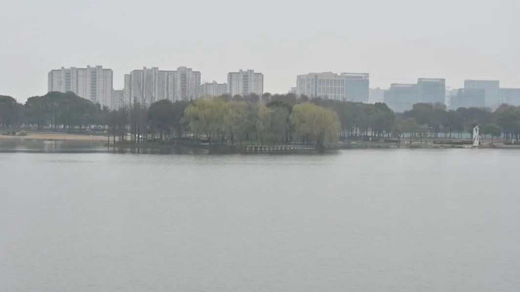 正文图片