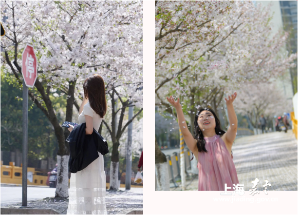 83411eeb4cfc49b8bb5b7896a07a17e9.png