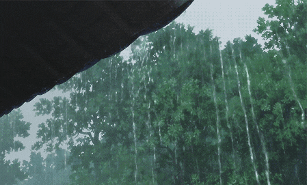 640 (1).gif