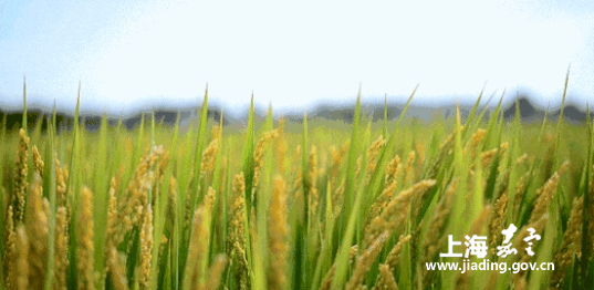 846a6092c4cb470dbee0d7b430b91b16.png