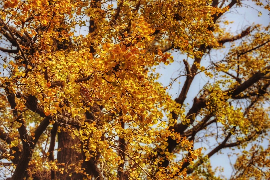 EE72659B-AFC2-4FFD-B48E-663971263D3E.jpeg
