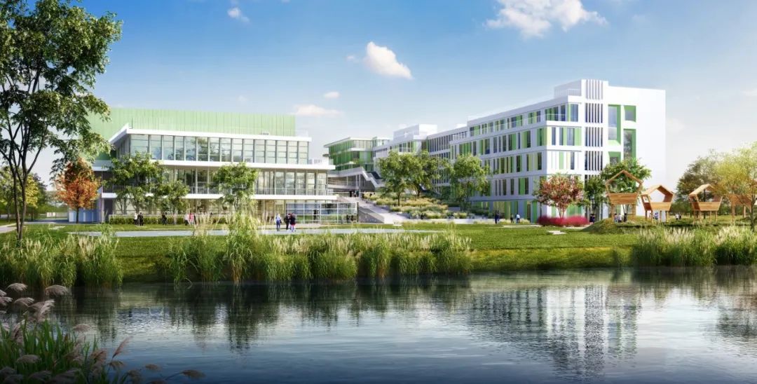 正文图片 正文图片