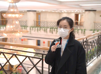 两会时间丨记者跑两会：代表委员们最关心哪些事儿？