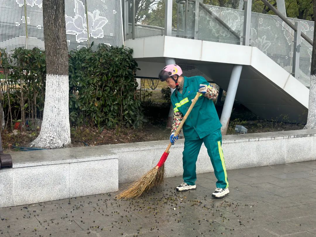 正文图片