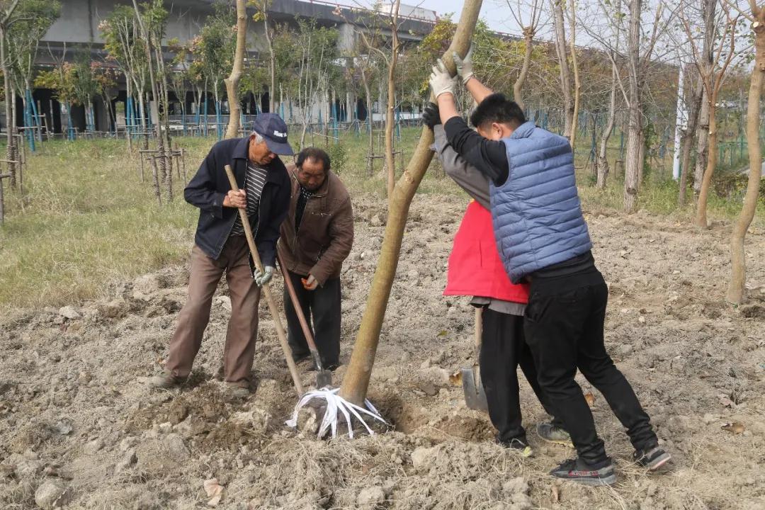 微信图片_20201207201027.jpg 微信图片_20201207201027.jpg