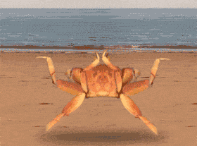 3.gif
